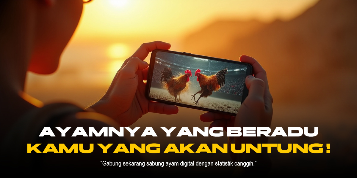 Misteri Sabung Ayam: Tradisi, Strategi, dan Kontroversi di Balik Arena